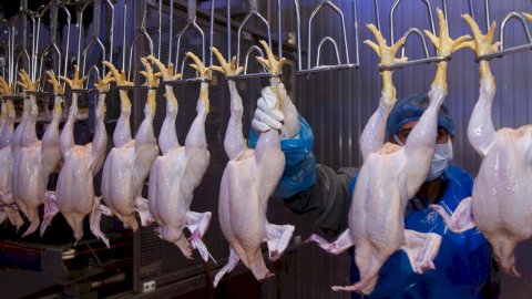 في عيد الفلاح الـ 74.. حزمة تمكين غير مسبوقة ودعم مباشر لخط الدفاع الأول عن الأمن الغذائي