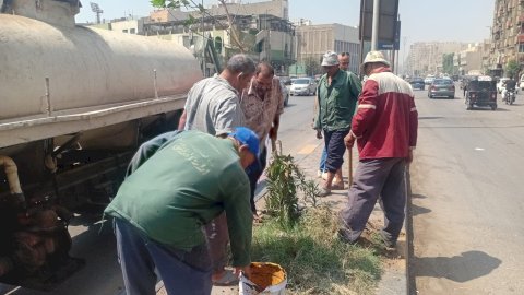هيئة النظافة والتجميل بالجيزة : البدء في مشروع تخضير المحافظة