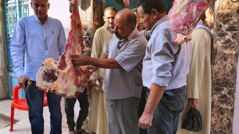 تحرير 19 محضرًا وضبط 3 أطنان من السلع الغذائية المخالفة في حملات رقابية بسوهاج