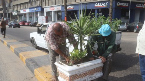 مشروع اتحضر للاخضر يستكمل عمله بشوارع العجوزة