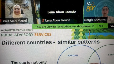 لجنة مبيدات الآفات تشارك في ويبنار إقليمي لـ "الفاو" لتعزيز الخدمات الاستشارية