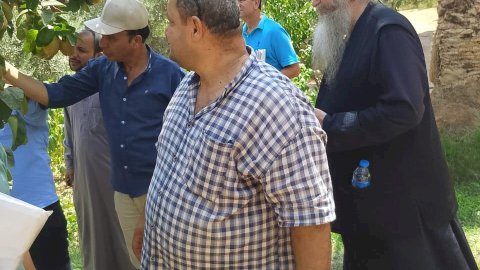 "الزراعة" تكثف جولاتها بشمال وجنوب سيناء لدعم المزارعين وحماية المحاصيل