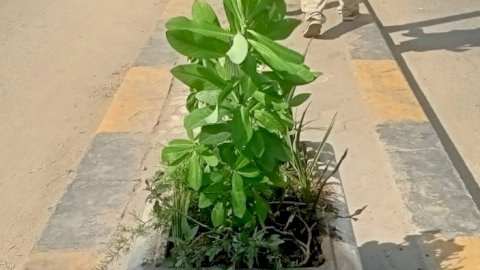 منبر