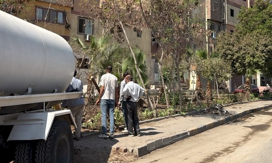 مبادرة أتحضر للأخضر تصل مثلثه شارع الكيلاني حي المنيرة الغربية