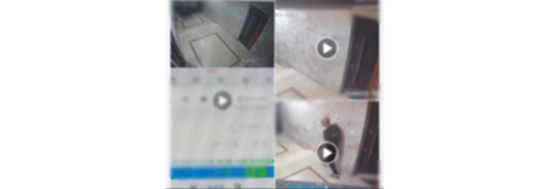 التقرير الطبي ينقذ عامل من منشور التعدي علي كلب بالقاهرة