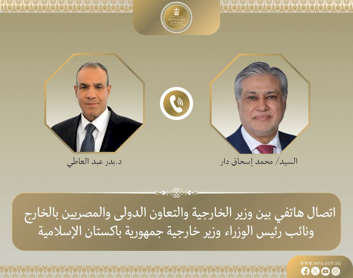 وزير الخارجية ونظيره الباكستاني يبحثان جهود خفض التصعيد