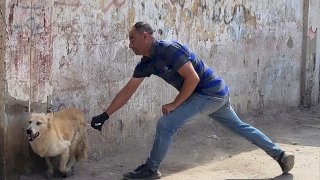 منبر