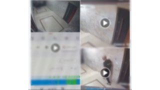 التقرير الطبي ينقذ عامل من منشور التعدي علي كلب بالقاهرة