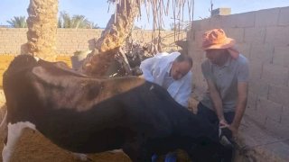 منبر