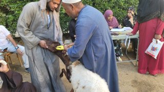 منبر