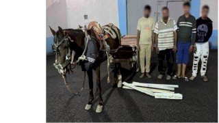 النيابة تتولي التحقيق في فيديو سرقة مهمات السكك الحديدية بالشرقية