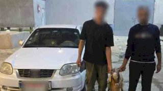 نكشف فيديو سرقة الأغنام بشمال سيناء