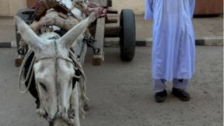 منبر