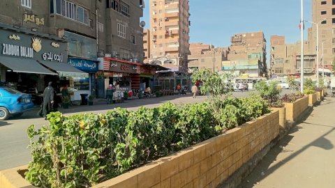 اتحضر للأخضر تزرع أحواض الزهور بحي امبابه.