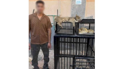 ضبط صانع محتوى لقيامه بتربية الحيوانات والزواحف الخطرة أعلى محل سكنه بكفر الشيخ