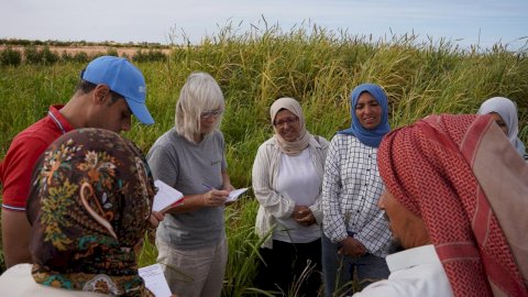 بحوث الصحراء يتابع نتائج مشروع «برايد» للتنمية الزراعية بمطروح