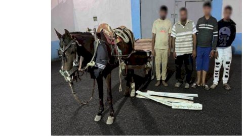 النيابة تتولي التحقيق في فيديو سرقة مهمات السكك الحديدية بالشرقية
