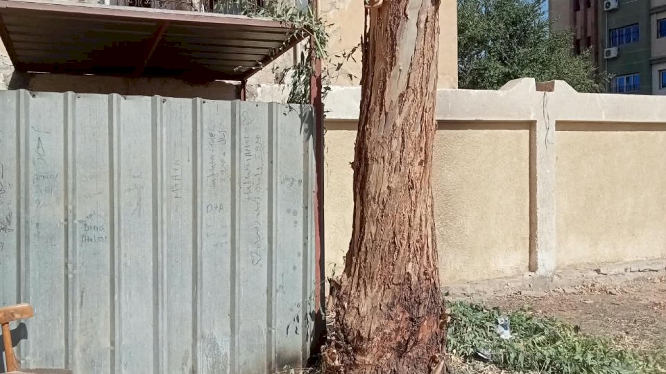 منبر